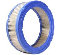Matijardin - Air Filter compatible with Briggs & Stratton 392642, 394018 V-TWIN OHV VANGUARD