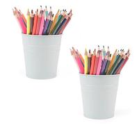MATIMASU Pen Holder Cup For Desk Pencil Holder Metal Marker Pen Organizer Storage Small Tinplate Flower Pot Succulent Bucket Planters for Office Home - 2 Pack (White)