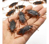 Matissa Pack of 20 Pieces Frisky Creepy Plastic Cockroaches fake bugs for Fun Halloween Pranks and Tricks Night Party roaches adults