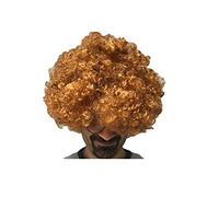 Matissa Unisex Clown Wig Circus Funny Fancy Party Dress Accessory Afro Stag Do Fun Joker (Ginger)