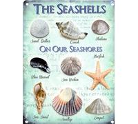 MATLPATS Seashells Seaside Collection House Kitchen Bathroom Beach Small Metal Tin Sign 6x8 Inch