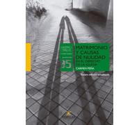 Matrimonio y causas de nulidad en el derecho de la Iglesia: 5 (Biblioteca Comillas. Derecho Canónico)