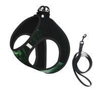 Matrix Code Digital Art Print Cute Pet Leash Vest Small Dog Harness Vest, Breathable Reflective Puppy & Cat Harness, Adjustable No Pull Pet Walking Set