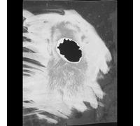 Mats Gustafsson - Piano Mating [VINYL]