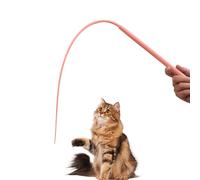 Matsizen Cat Angel Silicone Twigletail Cat Fishing Rod Long Twiggle Tail Cat Fishing Rod Interactive Mouse Tail Shaped Wand Toy Funny Cat Gift Toy Suitable for Outdoor Indoor Use, 77 cm (Pink)