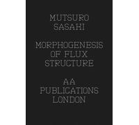 Matsuro Sasaki - Morphogenesis Of Flux Structure