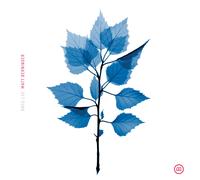 Matt Berninger - Get Sunk