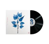 Matt Berninger - Get Sunk [VINYL]