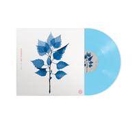 Matt Berninger - Get Sunk [VINYL]