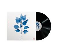 Matt Berninger - Matt Berninger, Neues Album 2025, Get Sunk, Vinyl, LP