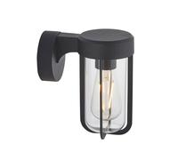 Matt Black Outdoor Wall Light with Clear Glass Shade - IP44 Rated - LED Bulb Loops Black One Size