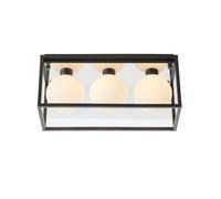 Matt Black Rectangular Framed Flush Bathroom Ceiling Light & Sphere Glass Shades