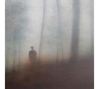 Matt Elliott - Farewell To All We Know [VINYL]