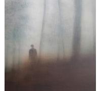 Matt Elliott - Farewell To All We Know [VINYL]