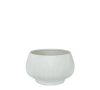 Matt Hortus Belgrade Bowl 24X18Cm - White Pot
