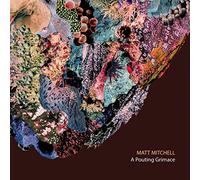 Matt Mitchell - A Pouting Grimace