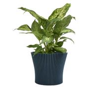 Matt Ribbed Flower Pot - Modern Flared Conical Planter with Pleated Design, Lightweight, Indoor/Outdoor Decorative Plant Pot - Multiple Sizes & Colors (Navy Blue, 11cm)