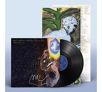 Superwolves by Matt Sweeney & Bonnie Prince Billy (Record, 2021)