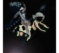 Matt Valentine - Preserves [VINYL]