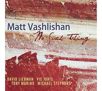 Matt Vashlishan - No Such Thing