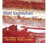 Matt Vashlishan - No Such Thing