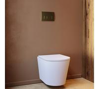 Matt White Wall Hung Rimless Toilet with Soft Close Seat Brushed Brass Pneumatic Flush Plate 1168mm Frame & Cistern Ver