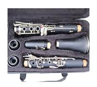 Matte ABS Resin Clarinet Bakelite Clarinets Student Bb Mouthpiece 4C Included Case Beginner Clarinet