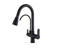 Matte Black Kitchen Faucet with Dual Handle, Bridge Mount Water Purification Tap, 2 Swivel Spouts, Modern Sink Mixer for Stylish Home Decor