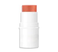 Matte Cream Blush Stick, Multi-Use Velvet Blush Stick for Cheeks & Lips, Buildable Natural Tint, Smooth Blendable Texture, Long-Lasting Lightweight Makeup for Beginners & Daily Travel (02#)