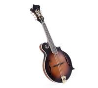 Matte Finish Solid Spruce Top F-Style 8 strings Mandolin with case Mandolin for Student