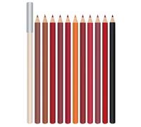 Matte Lip Liner Set - 12 Assorted Colors High Pigmented Natural Lip Makeup Soft Pencils Longwear Smooth Ultra Fine (SET-B)