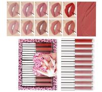 Matte Liquid Lipstick Set None-Stick Cup Not Fade Pigmented Lipstick Long-Lasting Velvets Lipgloss Makeup Kits