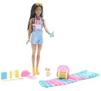 Mattel Barbie Dreamhouse Adventures Doll And Accessories