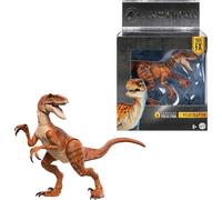 Mattel Jurassic World Hammond Collection Dinosaur Action Figure Toy, Atrociraptor Tiger, Premium Movie Design Glass Eyes & 13 Points Articulation, JDJ09