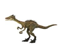 Mattel Jurassic World Hammond Collection Troodon Figure for Kids Moving Dinosaur