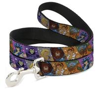 Mattel Pet Leash, Dog Leash, Masters of the Universe Character Block Poses Multi Color, 4 Feet Long 0.5 Inch Wide