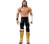 Mattel WWE Seth Rollins Action Figures, Basic 6-inch Collectible Figures, WWE Toys, HPK29