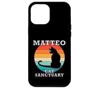Matteo Cat Sanctuary Group Family Reunion Name Case for iPhone 12 Pro Max