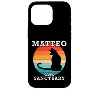 Matteo Cat Sanctuary Group Family Reunion Name Case for iPhone 16 Pro