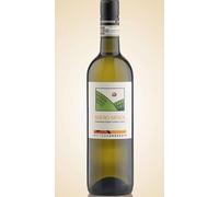 Matteo Correggia, Roero Arneis, WHITE WINE, (case of 6x75cl), Italy/Piedmont