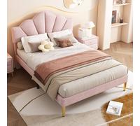 Matteo Pink Velvet Double Bed - Shell Design, Golden Legs Matteo Pink Double