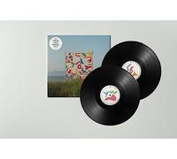 MATTHEW HALSALL - AN EVER CHANGING VIEW [VINYL]