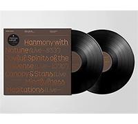 MATTHEW HALSALL - SALUTE TO THE SUN LIVE AT HALLE ST. PETER'S [VINYL]
