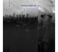 MATTHEW SHIPP TRIO - THE UNIDENTIFIABLE