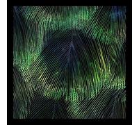 Matthias Meyer & Ryan Davis - Crying Juno/Cafune [VINYL]