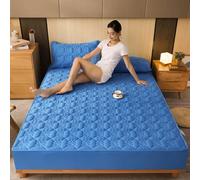 Mattress Protector Cotton Quilted Thick Mattress Cover Acts As A Fitted Sheet And Bed Cover Suitable Beds,Blue 2,Queen 60x80 inch