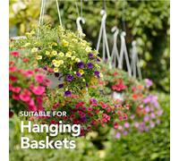 Mature Plant Compost With John Innes No.3 Added 35L Bag - By Jamieson Brothers