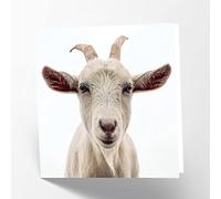 Maturi Billy Goat Photographic Blank Birthday Greetings Card, 15.5 x 15.5 cm