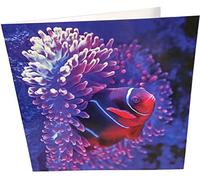 Maturi Blank Greeting Card with Tropical Fish Image Multi-Coloured 441067