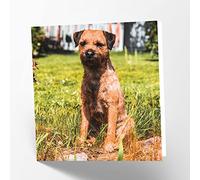 Maturi Border Terrier Dog Photographic Blank Birthday Greetings Card, 15.5 x 15.5 cm